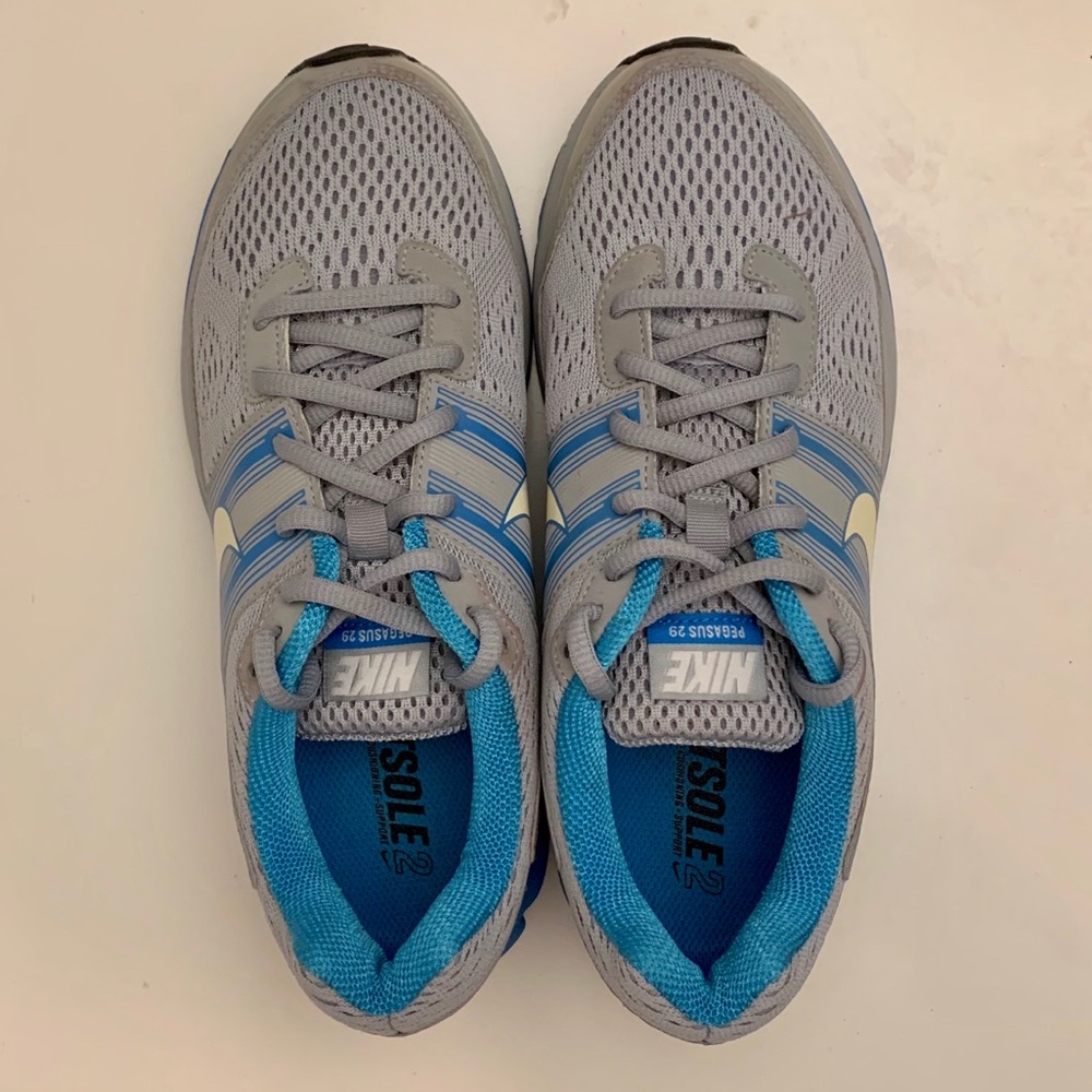 Nike Pegasus 29